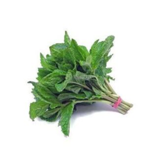Menthe (1 botte)