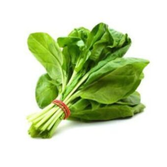 Pouce D’Épinard (1 barquette)
