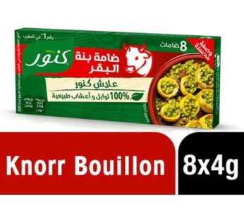 Knorr – Bouillon De Bœuf 18G