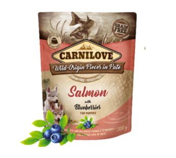 Carnilove – Wild Origine Pièces In Pate Salmon 300G