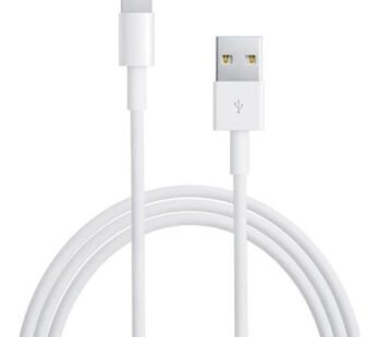 Apple – Apple Lightning To Usb Câble (1 M)