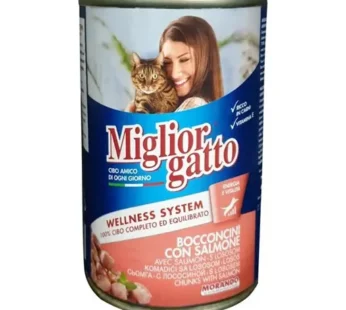 Morando – Miglior Gatto Chat Saumon 405G