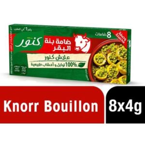 Knorr - Bouillon de boeuf - 18 G