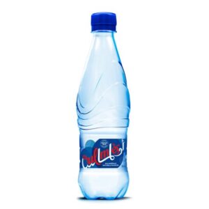 Oulmes - Eau Gazeuse - 50 cl