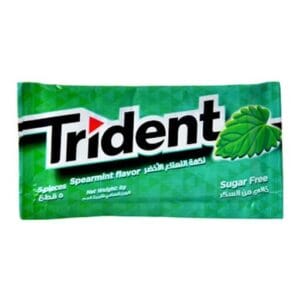 Trident - Menthe Sans Sucre - 8 g