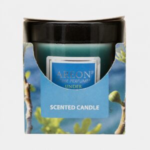 Areon - Bougie parfumée Black Crystal