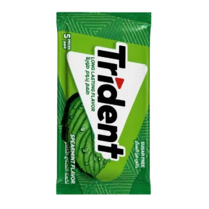 Trident — Chewing-gum saveur menthe verte — 5 pièces