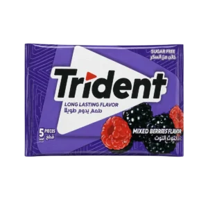Trident — Chewing-gum à la saveur de fruits rouges — 5 pièces